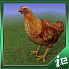 Happy Chicken Simulator 图标