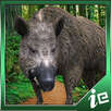Dangerous Boar Simulator APK