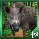 APK Dangerous Boar Simulator