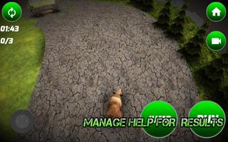 Able Bear Simulator постер