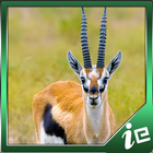 Beautiful Gazelle Simulator icône