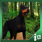 Dangerous Doberman Simulator आइकन