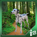 APK Spotted Dalmatian Simulator