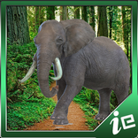 Big Elephant Simulator