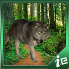 Big Forest Wolf Simulator-icoon