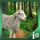 Beautiful Sheep Simulator Zeichen