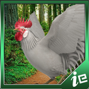 APK Big Rooster Simulator