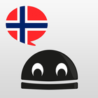 Free Norwegian Verbs icône