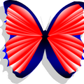 Catch Butterfly