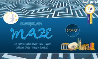 European Maze Poster