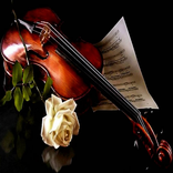 Tamil Love Songs Videos