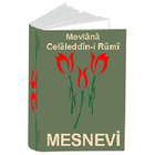 Mevlana Mesnevi-i Şerif 6 Cilt icône