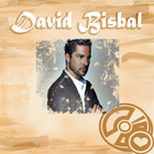 Icona A Partir De Hoy David Bisbal