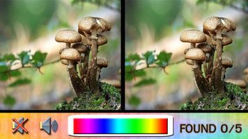 Find Difference mushroom โปสเตอร์