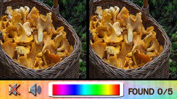 2 Schermata Trova Differenza di funghi