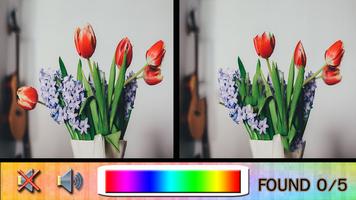 برنامه‌نما Find Difference vase عکس از صفحه