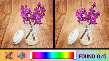 برنامه‌نما Find Difference vase عکس از صفحه