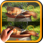 Find Difference squirrel icon