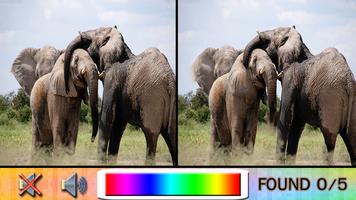 Find Difference elephant Affiche