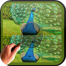 Find Difference peacock APK