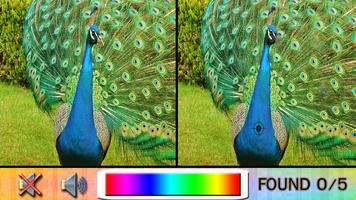 Find Difference peacock ảnh chụp màn hình 2