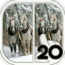 Find Difference horse APK