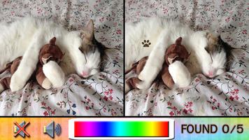 Find difference cat poster