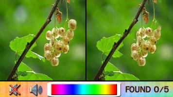 Find Difference jardin fruits capture d'écran 2