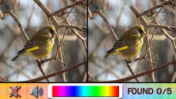 Find Difference bird Ekran Görüntüsü 1