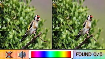 Find Difference bird اسکرین شاٹ 2