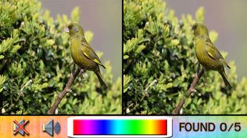 Find Difference bird Ekran Görüntüsü 3