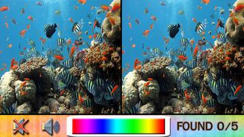 Find Difference under the sea پوسٹر