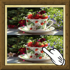 Find Difference fruit icon