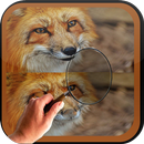 Find Difference beast APK