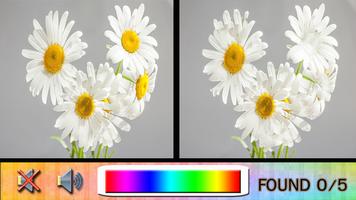 برنامه‌نما Find Difference white عکس از صفحه