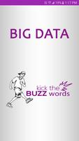 Big Data - Kick the Buzzwords poster