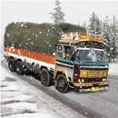 Indian Truck Driver Cargo Duty APK