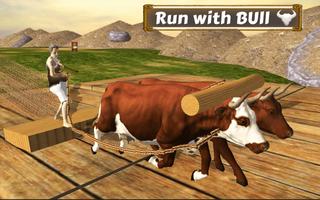 Bull Simulation Rennen Plakat