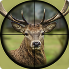 Deer hunting games 3D- Animal Hunter 2020 آئیکن