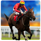 Horse Derby Racing Quest 2017 icon