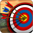 Archery Shooter 3D