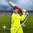 T20 Cricket Cup 2018 APK