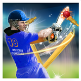 Cricket T20 Boom ikona