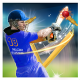 Cricket T20 Boom simgesi