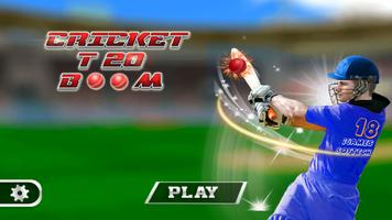 Cricket T20 Boom poster