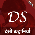 Desi Story icône