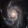 Black Hole Theory