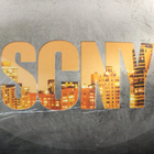SCNY icon