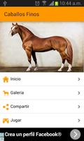 Images of fine horses Affiche