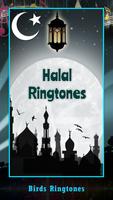 Islamic Halal Ring Tones پوسٹر